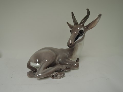 Dahl Jensen
Figure
Antelope
# 1237