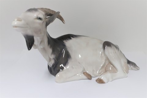 Royal Copenhagen. Lying goat. Model # 466 (1 quality)