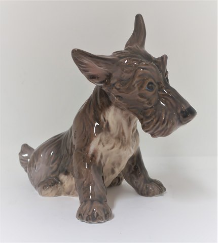 Dahl Jensen. Porcelænsfigur. Skotsk terrier. Model 1078. Højde 15 cm. (1 
sortering)