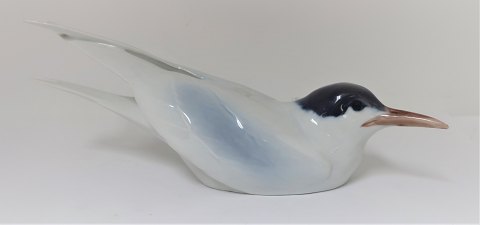 Royal Copenhagen. Porcelain figure. Seagull. Model 076. Length 27 cm. (2 
quality)