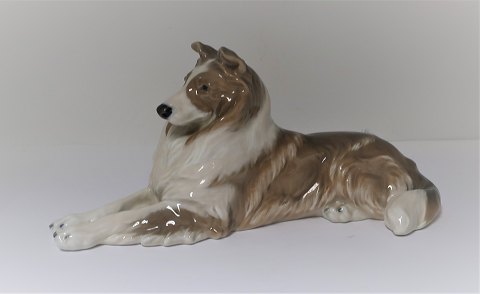 Royal Copenhagen. Porcelænsfigur. Liggende Collie. Model 1701. Længde 28 cm. (1 
sortering)
