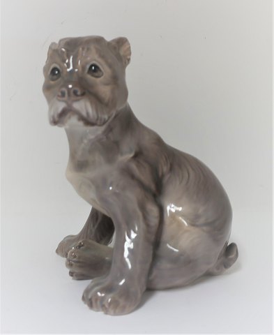 Dahl Jensen. Porcelain figure. Schnauzer puppy. Model 1095. Height 14 cm. (1 
quality)
