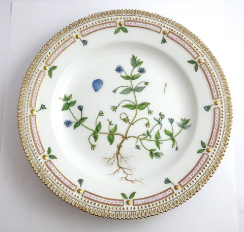 Royal Copenhagen Flora Danica. Dinner plate. Design # 3549. Diameter 25 cm. (1 
quality). Anagallis coerulea Schreb