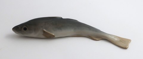 Königliches Kopenhagen. Porzellanfigur. Sardine. Modell 459. Länge 16 cm. (1 
Wahl)