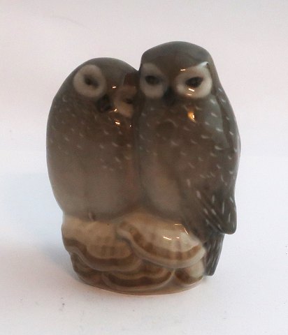 Royal Copenhagen. Porcelain figure. 2 owls. Model 834. Height 8.5 cm. (1 
quality)