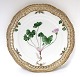 Royal Copenhagen Flora Danica. Mittagessen Platte mit durchbrochener kante. 
Entwurf # 3554. Durchmesser 23 cm. (1 Wahl). Produziert vor 1890. Oxalis 
Acetosella