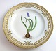 Royal Copenhagen. Flora danica Tallerken. Diameter 25 cm. (3553). ( 1 sortering 
). Muscari botryoides Dc