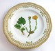 Royal Copenhagen. Flora danica Tallerken. Diameter 25 cm. (3553). ( 1 sortering 
). Tussilago farfara L