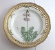 Royal Copenhagen. Flora Danica tallerken med gennemskåret bort. Diameter 25 cm. 
Model 3553. ( 1 sortering ). Hottonia palustris L