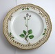Royal Copenhagen, Flora Danica. Frokost tallerken med gennemskåret bort. Design 
#3554. Diameter 23 cm. (1 sortering). Saxifraga nivalis L
