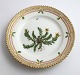 Royal Copenhagen, Flora Danica. Kage tallerken. Design #3552. Diameter 14,5 cm. 
(1 sortering). Hypericum humifusum L
