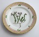 Royal Copenhagen, Flora Danica. Kage tallerken. Design #3552. Diameter 14,5 cm. 
(1 sortering). Sedum anglicum Huds